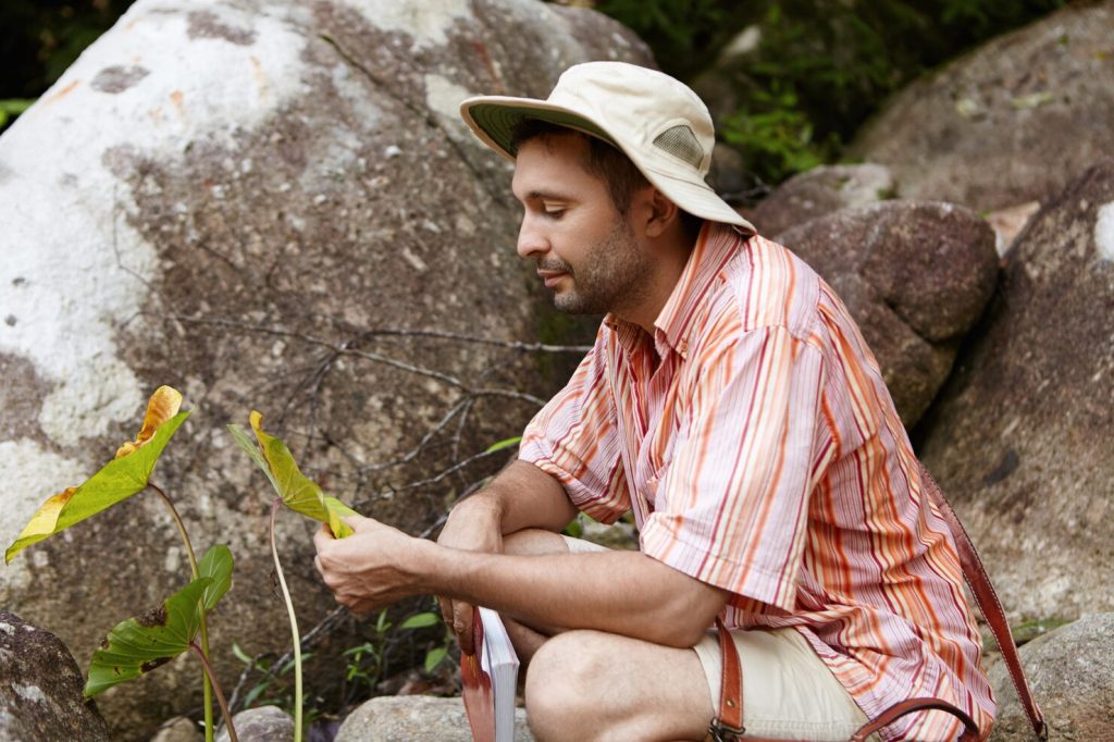 biologo barbudo sombrero sentado rocas sosteniendo hojas plantas verdes manchas mirando expresion preocupada mientras examina busca enfermedades realizando estudios ambientales 273609 6416